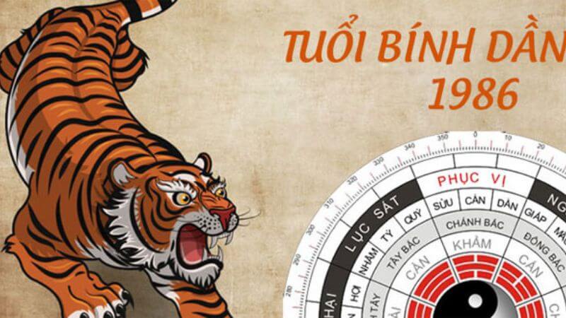Người sinh năm 1986 mệnh gì? Chi tiết phong thủy, màu hợp, tuổi hợp