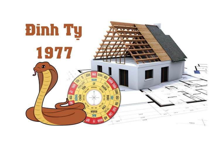 1977 Mệnh Gì? Tra Cứu Mệnh, Tuổi, Hợp Màu, Phong Thủy Đinh Tỵ 1977 