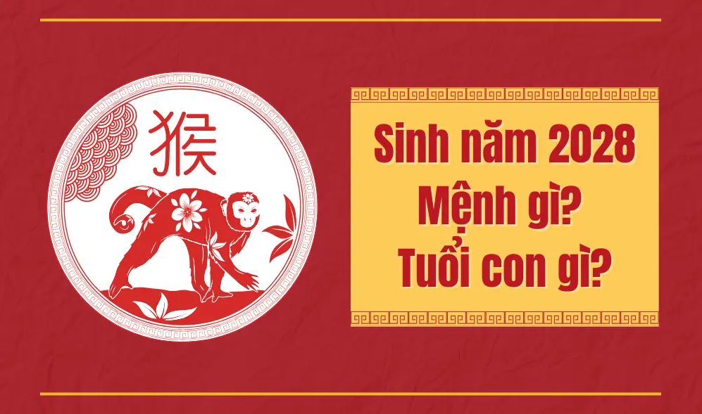 2028 Mệnh Gì? Giải Nghĩa Đại Trạch Thổ, Phong Thủy & Ý Nghĩa Chi Tiết 