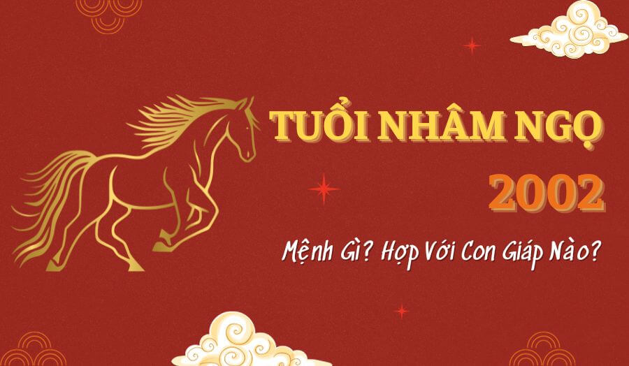 2002 mệnh gì? Tất tần tật về tuổi Nhâm Ngọ: Mệnh, màu, tuổi, hướng hợp (Cập nhật 2025)