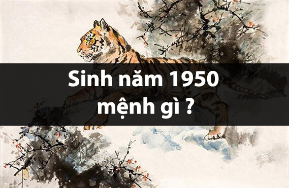 Sinh năm 1950 mệnh gì? Giải mã Tùng Bách Mộc – Ý nghĩa, giải thích, ứng dụng và tra cứu