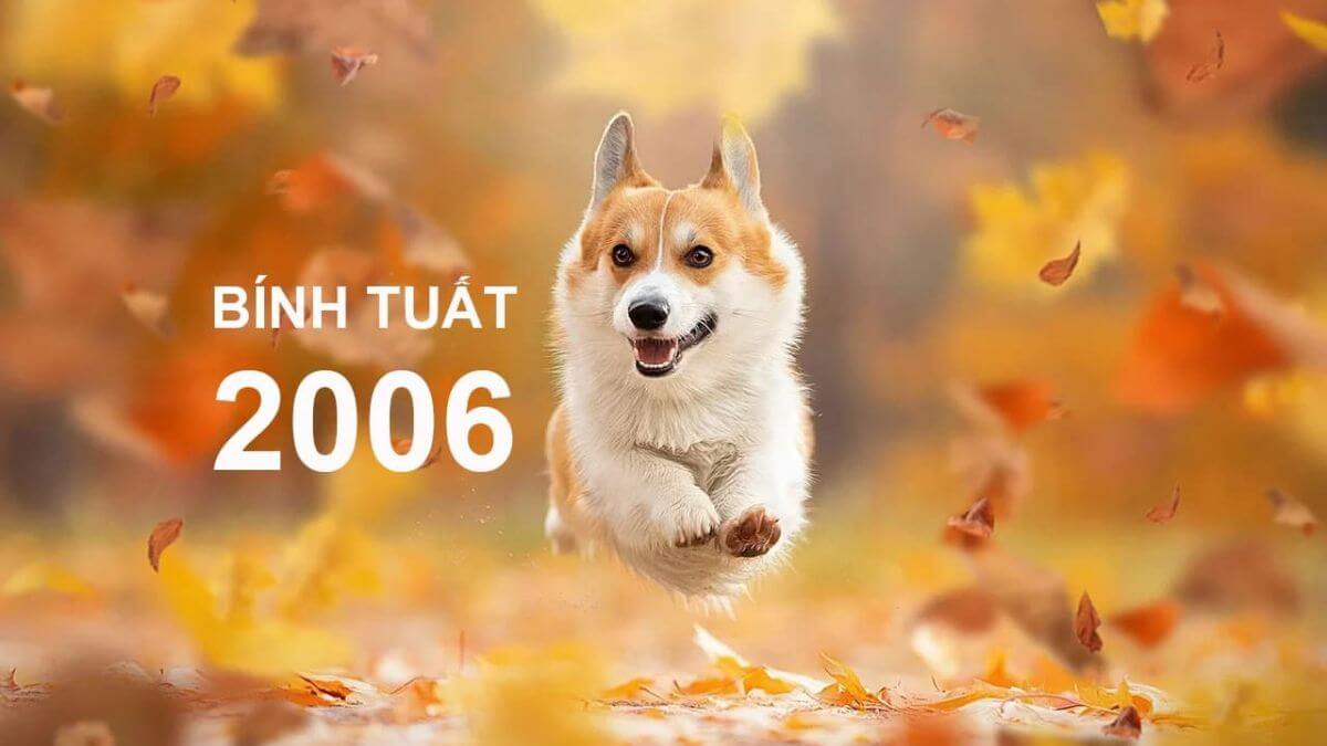 2006 mệnh gì? Giải mã vận mệnh, ý nghĩa & ứng dụng phong thủy cho người sinh năm 2006