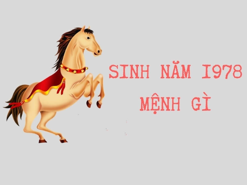 1978 Mệnh Gì? Giải Mã Tuổi Mậu Ngọ: Ý Nghĩa, Hợp - Kỵ, Ứng Dụng Phong Thủy (Chuẩn 2025)