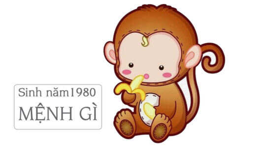 1980 mệnh gì? Ý nghĩa, phong thủy & giải thích (2025)