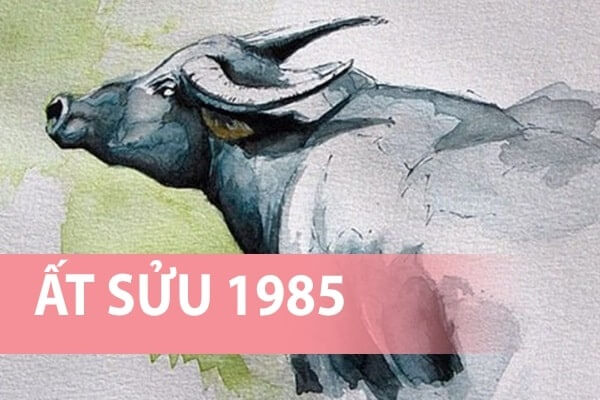 1985 mệnh gì? Giải thích chi tiết về tuổi Ất Sửu, mệnh Hải Trung Kim & ứng dụng phong thủy