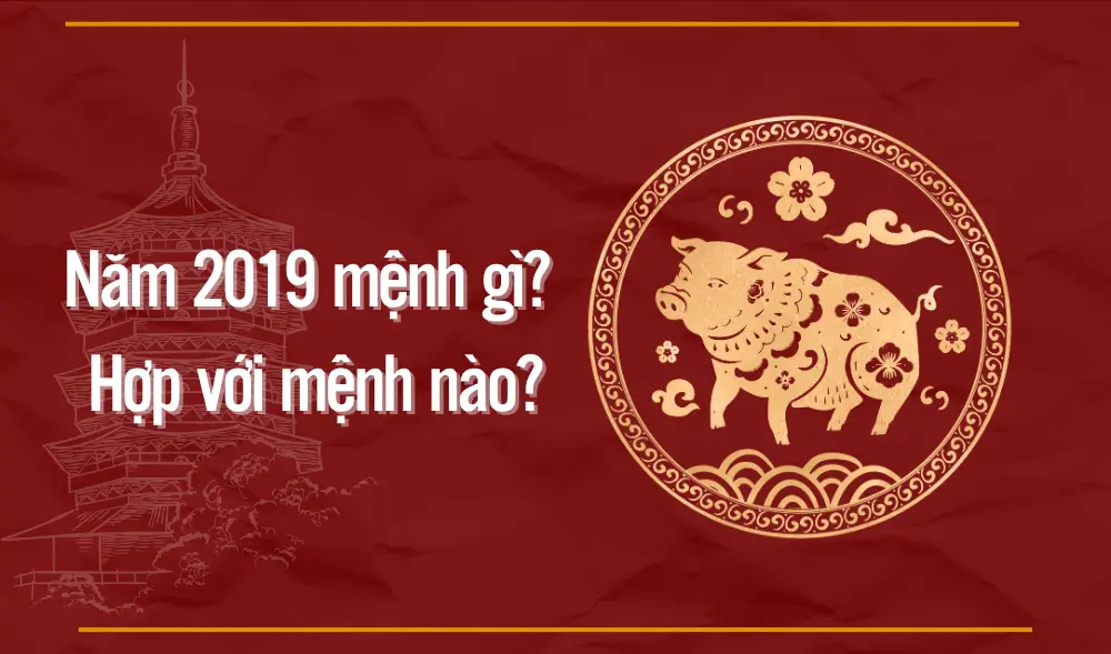 2019 mệnh gì? Giải mã tuổi Kỷ Hợi: Bản mệnh, màu hợp, tử vi đầy đủ năm 2025