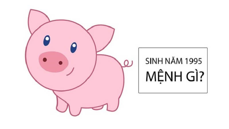 1995 mệnh gì? Tra cứu nhanh & Phân tích tổng quan chuẩn phong thủy