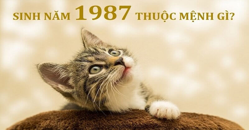 1987 mệnh gì? Giải mã chi tiết "Lư Trung Hỏa" & Ứng dụng Phong Thủy Cho Người Sinh Năm 1987