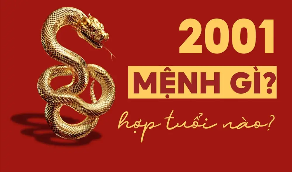 2001 mệnh gì? Tất tần tật thông tin và ứng dụng thực tiễn
