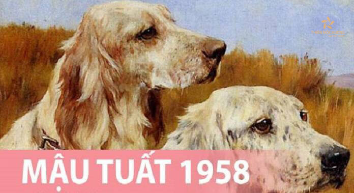 1958 mệnh gì? Tra cứu tử vi – phong thủy tuổi Mậu Tuất chi tiết [2025]